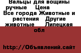 Вальцы для вощины ручные  › Цена ­ 10 000 - Все города Животные и растения » Другие животные   . Липецкая обл.